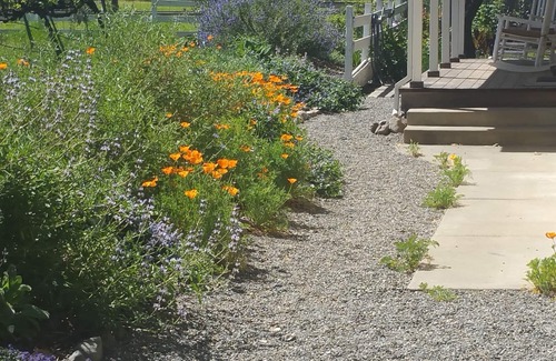 Sonoma Cabaña | Sonoma Vineyard Cottage - enjoy wine country life. Peaceful yet central locale!