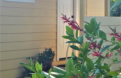 Sonoma Cabaña | Sonoma Vineyard Cottage - enjoy wine country life. Peaceful yet central locale!