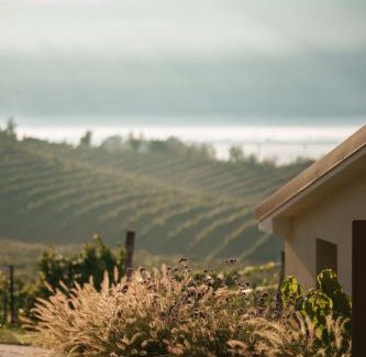 Vidor Casa | Sorapiana