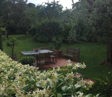 Rimini Cama Y Desayuno | Sottoalfico Resort