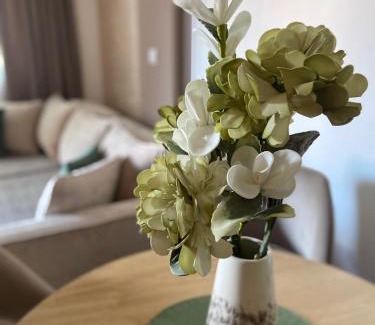 Vrnjacka Banja Apartamento | Soul Apartment Vrnjačka Banja