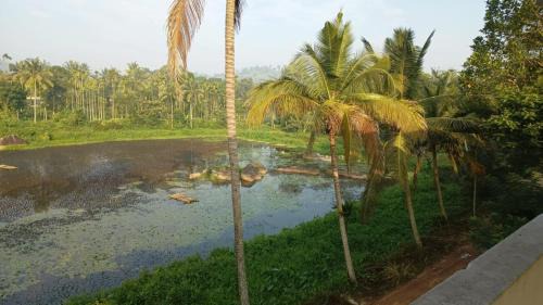 Kalpetta Casa | Souparnika Lakeview Homestay LLP