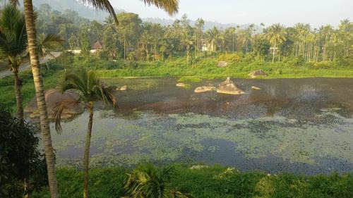 Kalpetta Casa | Souparnika Lakeview Homestay LLP