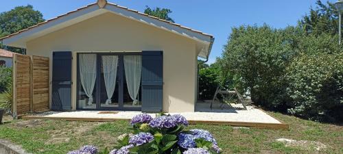 Roaillan Casa | Sous l'arbre aux papillons