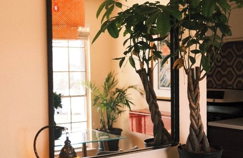 Dawson Casa | South Congress Retreat - A Vibey Stay Close to Bars, Shops, Music Venues & Hikes