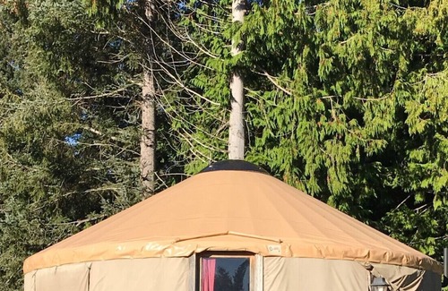 Florence Cabina | South Jetty RV & Camping Resort