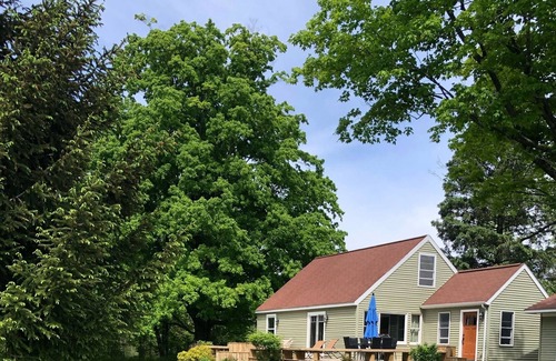 Benzonia Casa | South St Bungalow~ Great outdoor space with large private deck and yard!