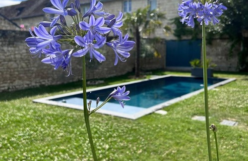 Tavant Cabaña | South Touraine village house with swimming pool near Chinon Azay 10 p