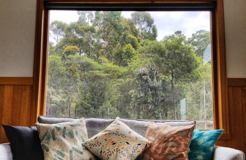 Southport Cabaña | Alojamiento Bosque Sur