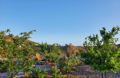 Temecula Casa | Southern Vines Suite - Wine country treat!