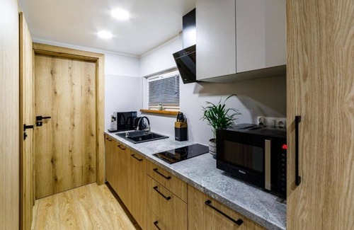 Gluszyca Cabina | Sovanova 2 Holiday Home with One Bedroom and Mezzanine