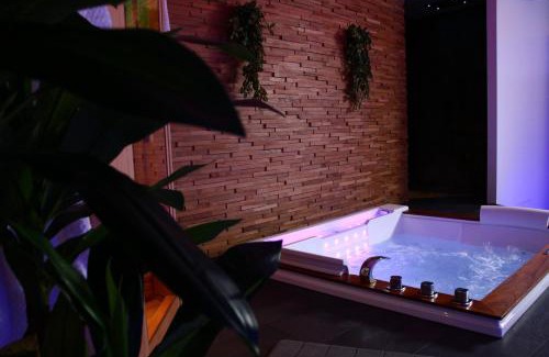 Auxerre Apartamento | Spa privatif by XELA