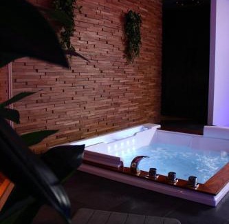 Auxerre Apartamento | Spa privatif by XELA