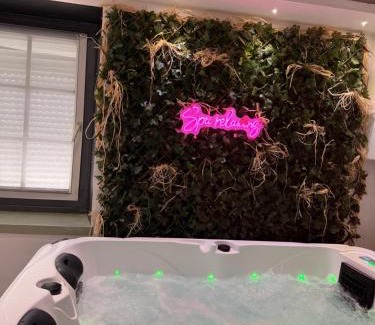 Maisdon-sur-Sevre Apartamento | Spa relaxing