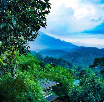 Kalpetta Complejo | Space Rock Resort