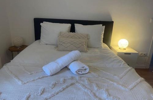 Hagondange Apartamento | Spacieux appartement neuf - France