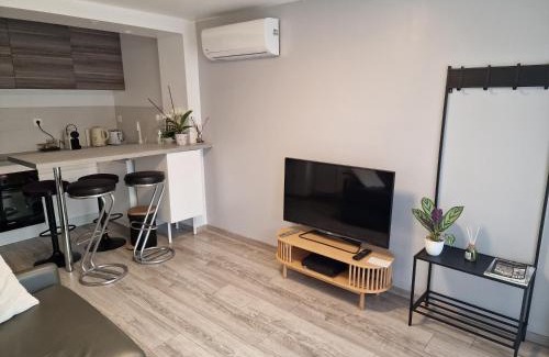 Saint-Georges-de-Reneins Apartamento | spacieux studio dans le Beaujolais