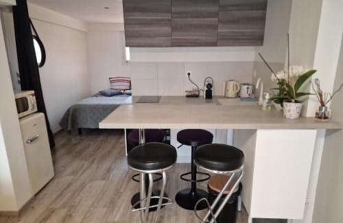 Saint-Georges-de-Reneins Apartamento | spacieux studio dans le Beaujolais