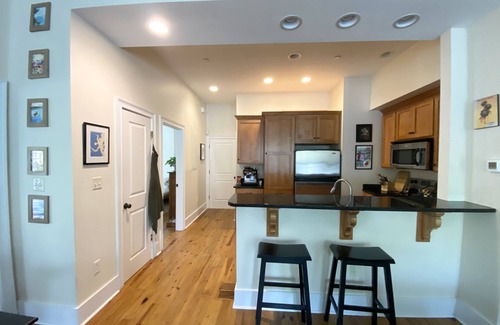 Historic Downtown Savannah Apartamento | Spacious 2 bedroom apartment next to Forsyth Park