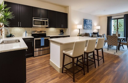 Astrodome Apartamento | 2BR/2BA Medical Center & Museum District Across MD Anderson, Minutes to Downtown
