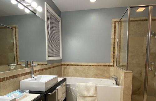 Grand Boulevard Condominio | Spacious 3 bed Chicago condo