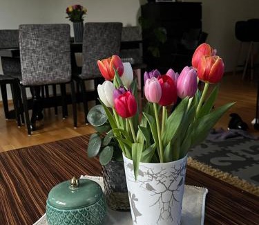 Trondheim Casa | Spacious 3 bed terraced house