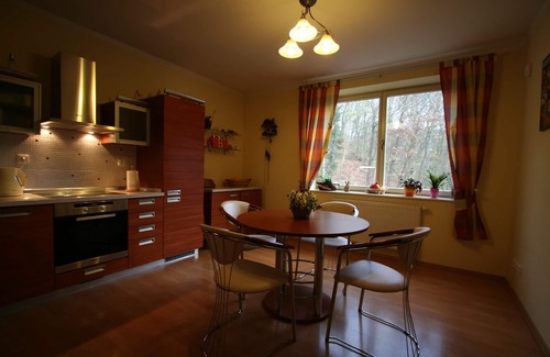 Karlovy Vary Apartamento | Amplio apartamento de 3 habitaciones con estacionamiento