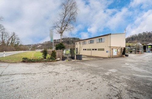 Aarau Casa | Spacious 5-bedroom house in superb 5 min Aarau with WiFi