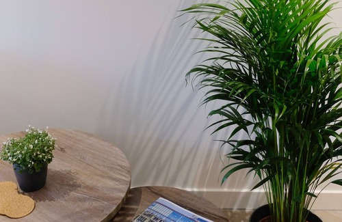 Eindhoven City Center Apartamento | Spacious 65m² Apartment in the City Centre of Eindhoven