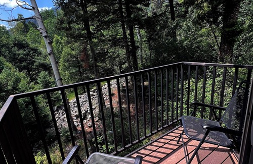 Taos Ski Valley Condominio | Spacious 800 sqf 2-bedroom condo 1.5 miles away from lift 1 at Taos Ski Valley!