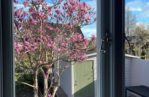 Borrby Casa | Spacious, bright and renovated gem close to the beach in Borrby