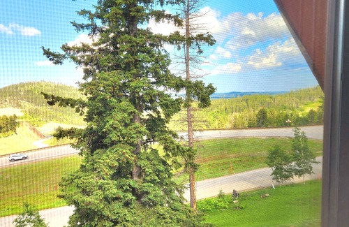 Lead Cabina | Spacious Cabin near Deadwood for Rally with Paved Roads - at Barefoot Resort!
