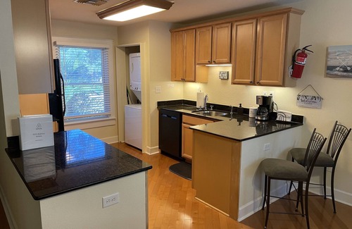 Historic Hyde Park North Cabaña | Spacious Charming Hyde Park Cottage - Walk Everywhere!