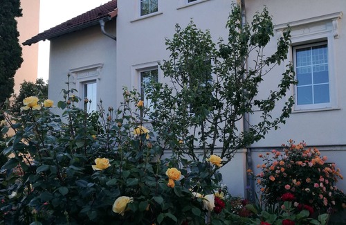 Dresden Apartamento | ¡Amplio, cerca del centro y apartamento familiar en Dresde!