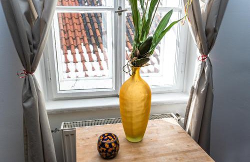Stare Mesto Apartamento | Spacious elegant apartment at the Old Town Square