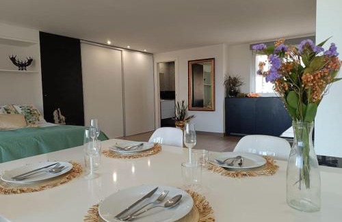 San Vicente del Raspeig Apartamento | Spacious Studio by the University