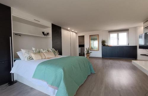 San Vicente del Raspeig Apartamento | Spacious Studio by the University