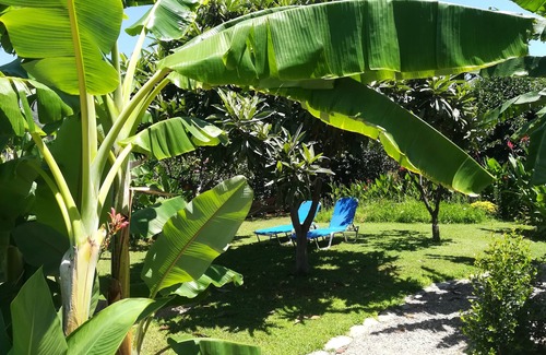Lefktron Apartamento | Daphne Familia apartamentos son respetuosos con gran jardín, a sólo 700 metros de la playa
