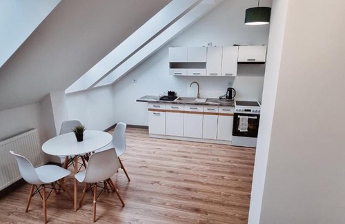 Stare Podgorze Apartamento | Spacious loft 10