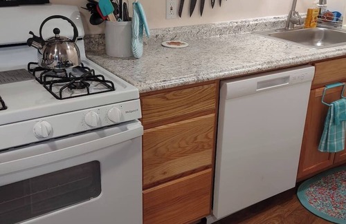Bellepoint Apartamento | Spacious New River View, Downstairs Unit, fenced yard and patio. Pet friendly!