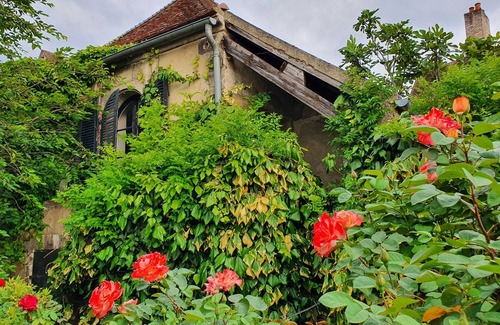 Auxerre Casa | Spacious old house for 10, courtyard and enclosed garden. Auxerre town center