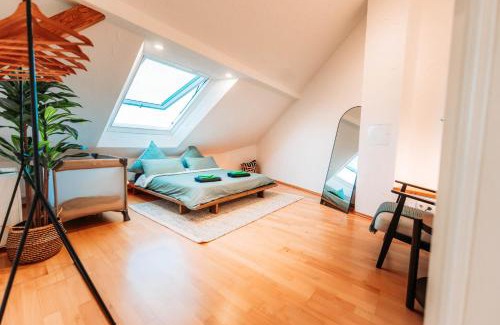 Sued Apartamento | Spacious Penthouse with AC and Free Parking Steps Away From the Central Station