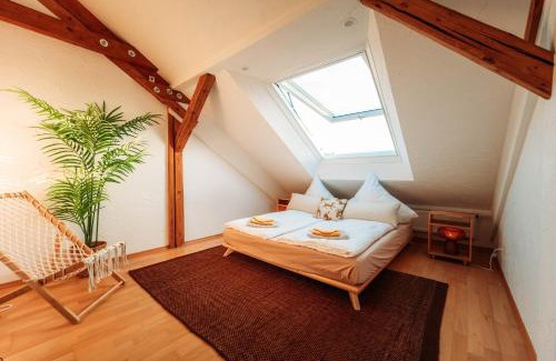 Sued Apartamento | Spacious Penthouse with AC and Free Parking Steps Away From the Central Station