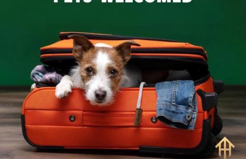 Fort Worth Casa | Spacious Pet Friendly - 7 miles to Eagle Mountain Lake