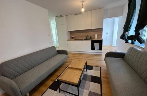 Outer Neustadt Apartamento | Spacious vacation apartment in Dresden Neustadt - your stylish temporary home