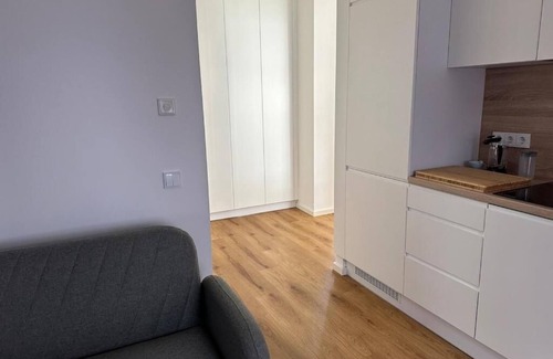 Outer Neustadt Apartamento | Spacious vacation apartment in Dresden Neustadt - your stylish temporary home