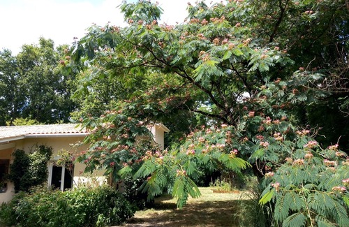 Queyrac Casa | Spacious villa on large domain with swimmingpool 15 minutes from the beaches