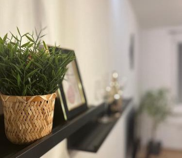 Hradec Kralove Apartamento | Spaní na paletách kousek od centra Hradce Králové