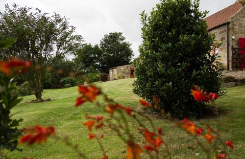 Saltburn-by-the-Sea Casa | Spangle Cottage, Borrowby Farm Cottages