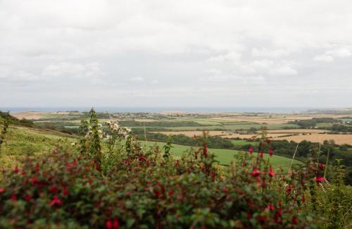 Saltburn-by-the-Sea Casa | Spangle Cottage, Borrowby Farm Cottages